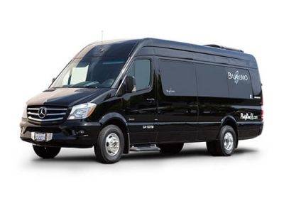 Mercedes-Tiffany-Party-Bus
